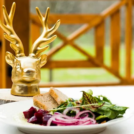 Гостевой дом Zloty Jelen - Restauracja I 3*