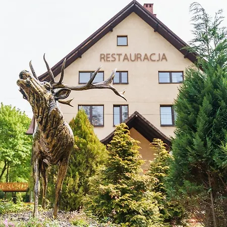 Гостевой дом Zloty Jelen - Restauracja I 3*