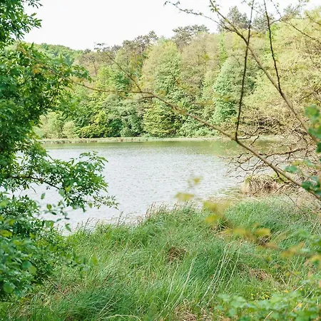 Złoty Jeleń - Restauracja I Dom Gościnny 3* Potok Zloty
