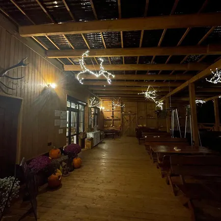 Zloty Jelen - Restauracja I Potok Zloty