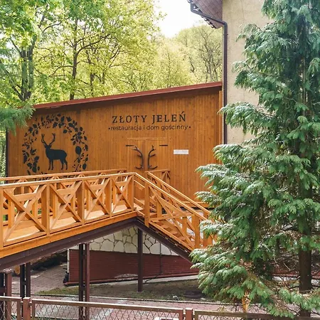 Zloty Jelen - Restauracja I Гостевой дом 3*