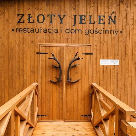 Zloty Jelen - Restauracja I 3* Potok Zloty