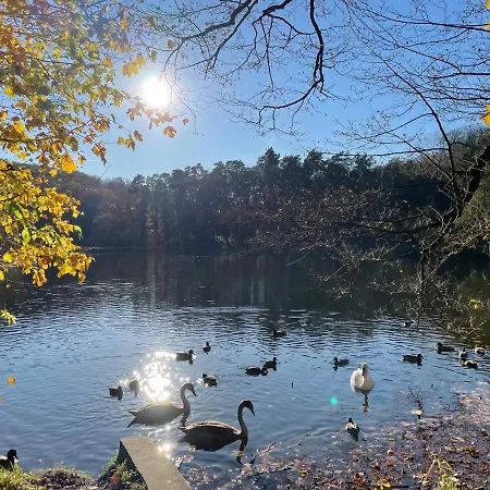 ゲストハウス Zloty Jelen - Restauracja I 3*