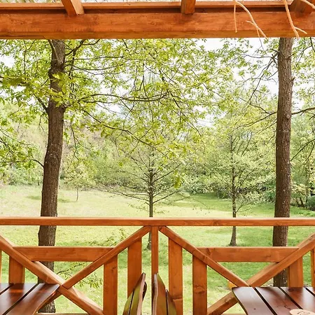 ゲストハウス Zloty Jelen - Restauracja I 3*