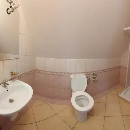 Гостевой дом Zloty Jelen - Restauracja I Potok Zloty