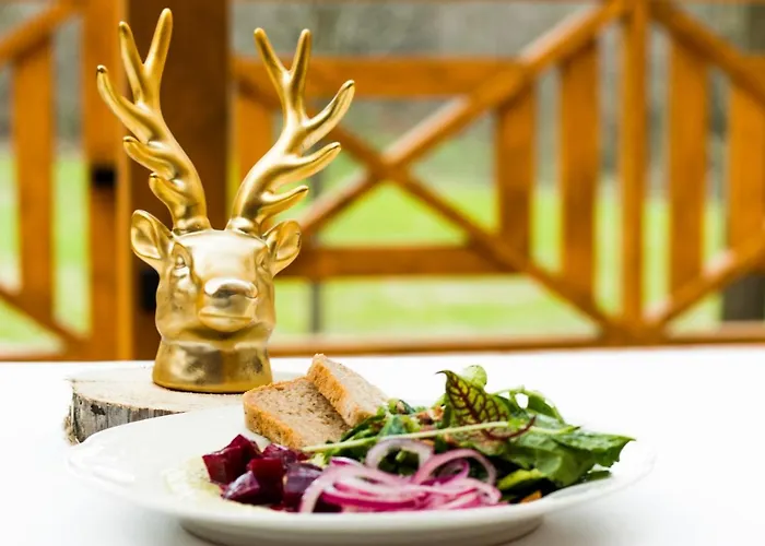 Guest house Zloty Jelen - Restauracja I 3*