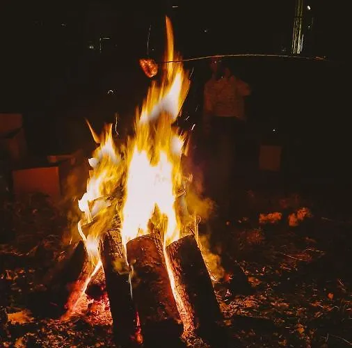 Guest house Zloty Jelen - Restauracja I 3*