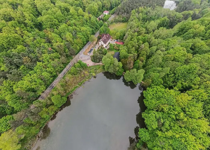 Guest house Zloty Jelen - Restauracja I Potok Zloty