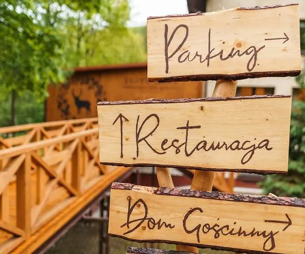 Zloty Jelen - Restauracja I Potok Zloty