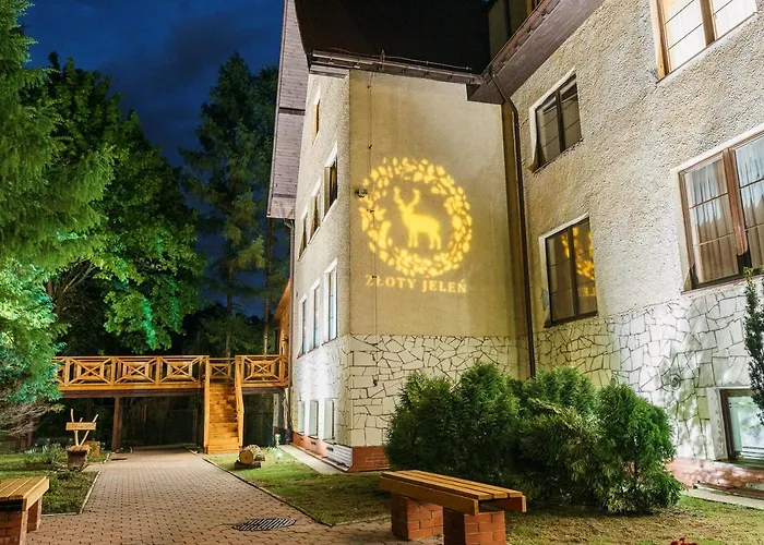 Zloty Jelen - Restauracja I 3*