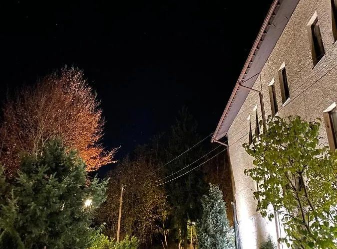 Zloty Jelen - Restauracja I