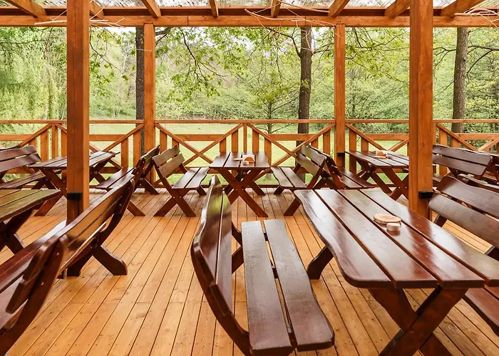 Zloty Jelen - Restauracja I Potok Zloty