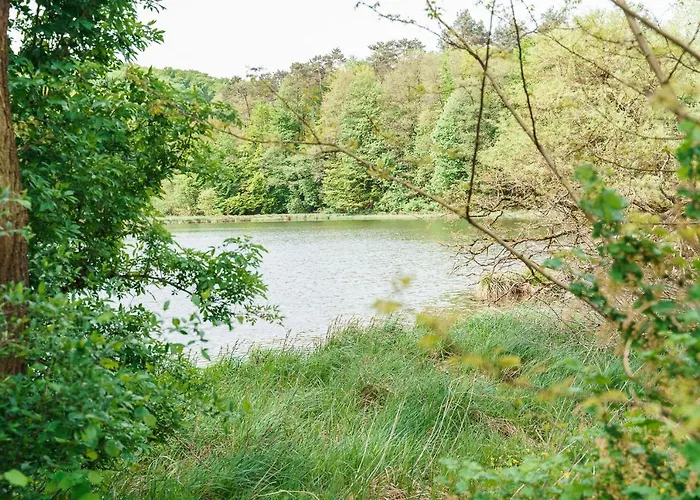 Zloty Jelen - Restauracja I 3* Potok Zloty