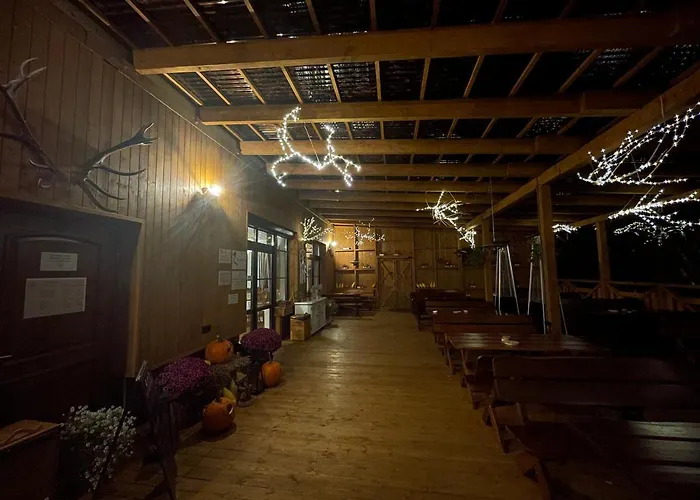 Zloty Jelen - Restauracja I Potok Zloty