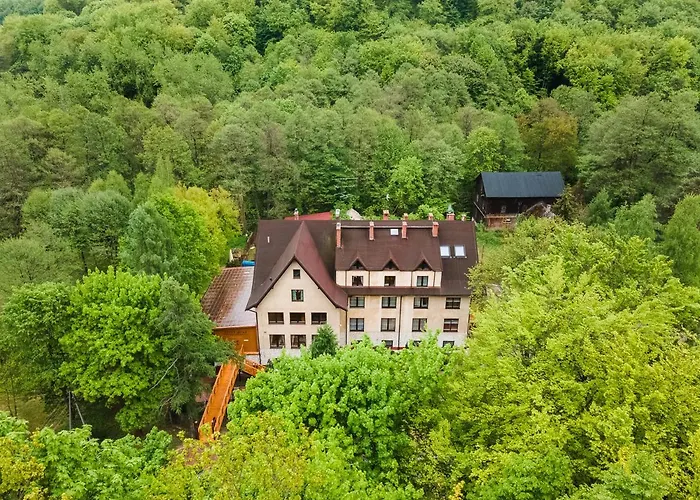 Zloty Jelen - Restauracja I 3* Potok Zloty