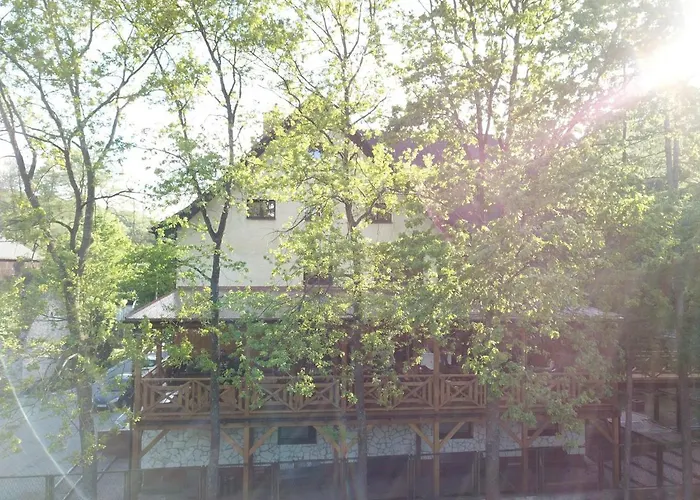 Zloty Jelen - Restauracja I Guest house