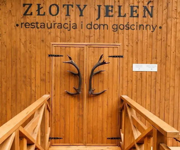 Zloty Jelen - Restauracja I 3* Potok Zloty