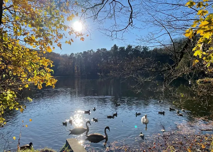 Penzion Zloty Jelen - Restauracja I 3*