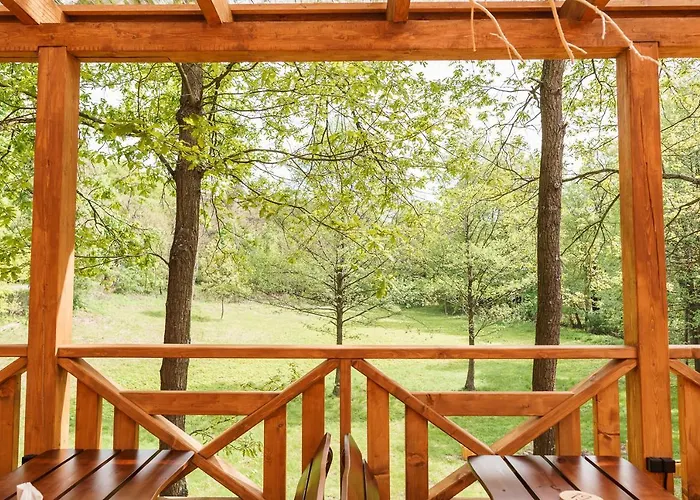 Guest house Zloty Jelen - Restauracja I 3*