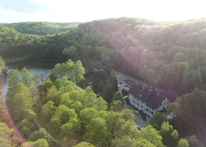 Zloty Jelen - Restauracja I Potok Zloty