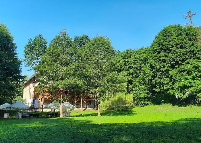 Zloty Jelen - Restauracja I 3* Potok Zloty