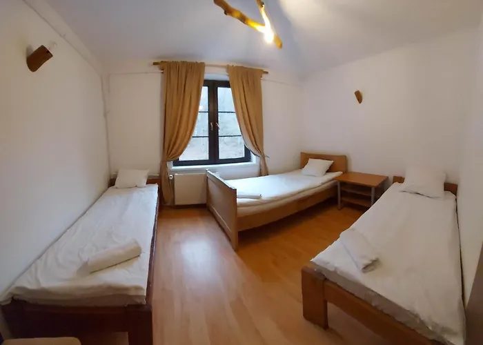 Zloty Jelen - Restauracja I Penzion