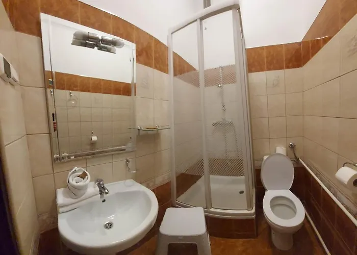 Zloty Jelen - Restauracja I Guest house 3*